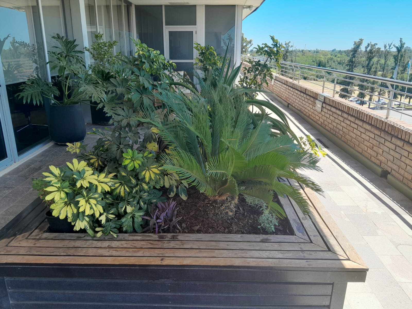 Paisajismo y parquizaciones en Berazategui