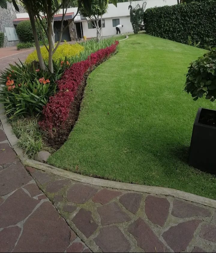 Espacio exterior con vegetación en Berazategui