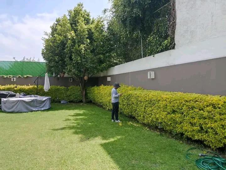 Galería vidriada con vista al jardín en Berazategui